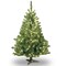 National Tree Company Pre-Lit Artificial Mini Christmas Tree, Green, Kincaid Spruce, Clear Lights, 4 Feet
